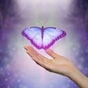 Une main tendue sur le bord du chemin 